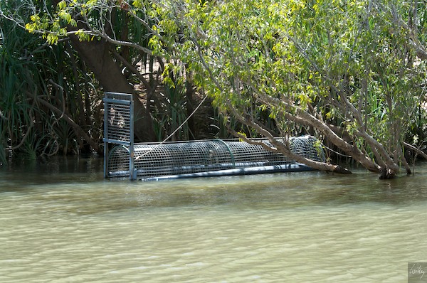 AustraliaAdelaide 10  017